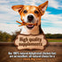 The Primal Theory 100% 24 Count Dehydrated Chicken Feet for Dogs - Single Ingredient Dog Chews - Made in USA