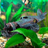 No Pollution Very Vivid Aquarium Plane Decor, Artificial Fish Tank Ornament, Resin Material, for Decorating for Fish Tank