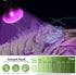OMAYKEY 75W Infrared Heat Lamp Bulb, Moonlight Light Glass Heating Lamps for Reptiles, 2 Pack