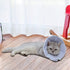 Soft Cat Recovery Collar - Adjustable Dog Cat Cone for Surgery, Protective Collar for Kitten and Puppy, Small, Blue