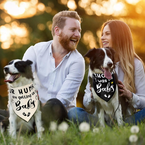 2 Pack Pregnancy Announcement Dog Bandanas, Gender Reveal Pet Scarf Cute Adjustable Reversible Triangle Bandana