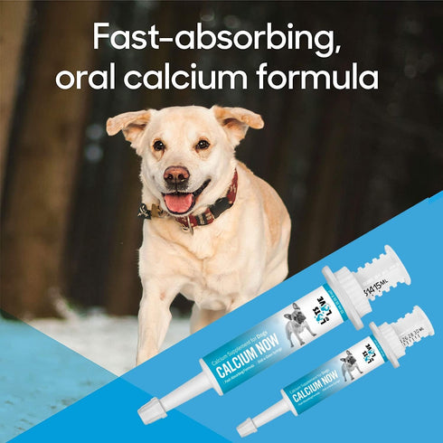 Calcium Now - Oral Calcium for Whelping Dogs - Dog & Cat Calcium Supplement Paste, Vanilla, 30 ml Paste (Pack of 2)