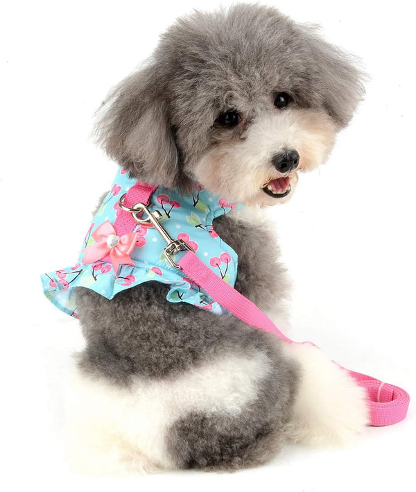 SELMAI Cat Harness and Leash, Escape Proof Cherry Vest for Small Dogs and Kittens, Soft Padded for Walking