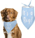 Personalized Pet Scarf Dog Bandana,Funny Bibs Triangle Head Scarfs for Dogs Cats