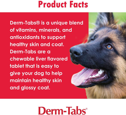 Derm Tabs Regular Strength for Dogs - 120 Chewable Tablets for Healthy Skin & Reduced Shedding