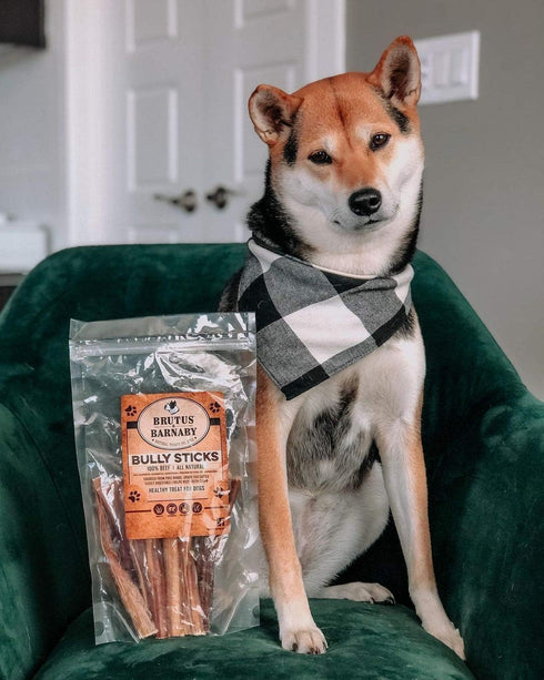 BRUTUS & BARNABY 6" Bully Sticks for Dogs, Low-to-No Odor, Grass-Fed Chews