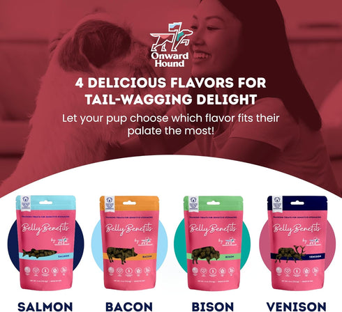 Training Treats for Dogs - Soft Salmon, Low Calorie for Sensitive Stomachs, 10 oz