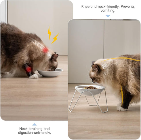 2-Pack Ceramic Raised Cat Bowls for Food and Water, Elevated Dishes with Stand, Dishwasher Safe