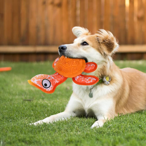 Chew Toys for Aggressive Chewers, Durable Rubber TPR Turtle Shape Dog Toys with 2 Tennis Balls (Orange)