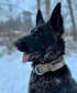 Boss Dog Tactical Collar (X-Large, Tan Camo)