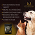Organic Weight Management Supplement for Cats & Dogs, 100% Natural Powder, Helps with Weight Loss, 200 Grams