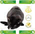 5 oz Life Essentials Chicken Littles Freeze Dried Chicken Cat & Small Dog Treats, Healthy Single Ingredient Training