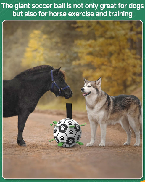 QDAN Dog Toys Soccer Ball with Straps - 10 Inch Durable Herding Ball for Extra Large Dogs, Outdoor Water Toy, Birthday