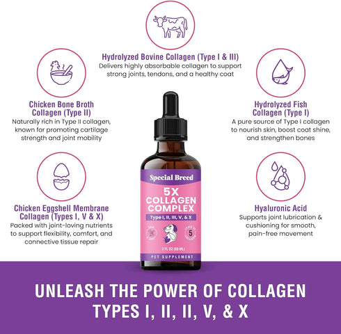 Immune 2oz Premium Collagen for Dogs - Liquid Support for Joints, Skin, Coat, Bone, System & HIPS - Collagen Supplement