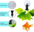 SLSON Fishes Veggie Seaweed Plant Suction Cup Clip Feeding Tool Feed Holder Aquarium Accessories for Fish Tank Fish Feeder Clips (6Pack Black)