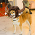 Dog Horn Wig for Halloween & Christmas - Funny Pet Bull Costumes for Dog & Cat, Clothing Accessories (Size M)