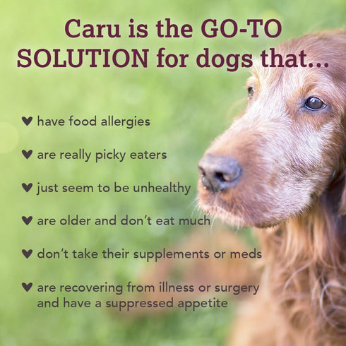 Caru Real Turkey Stew For Dogs, Natural Adult Wet Dog Food With Added Vitamins, 12.5 Oz