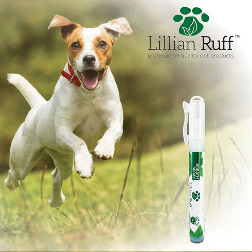 Lillian Ruff Travel Kit for Dogs, Deodorizing Waterless Dog Shampoo x4, Dog Breath Freshener, Detangler Spray, Ear