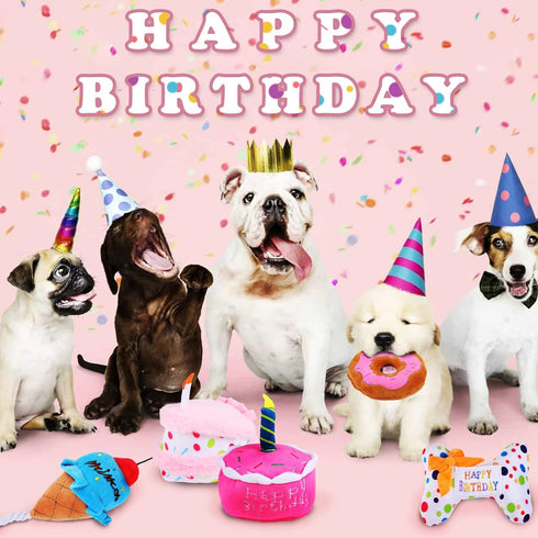 DoreenBow 5 Pack Dog Birthday Toys - Squeaky Birthday Cake Chew Toys for Small Dogs - Plush Birthday Box Gift