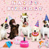 DoreenBow 5 Pack Dog Birthday Toys - Squeaky Birthday Cake Chew Toys for Small Dogs - Plush Birthday Box Gift