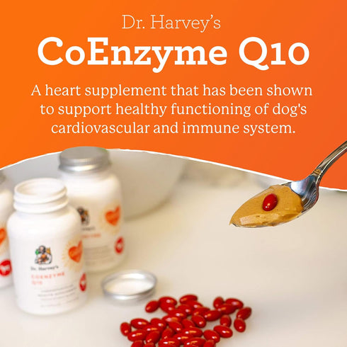 Dr. Harvey's Coenzyme Q10, Heart & Cardiovascular Support Supplements for Dogs, 60 Capsules