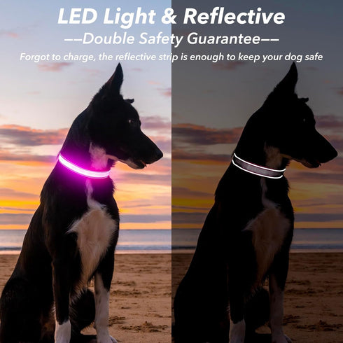Light Up Dog Collars, Rechargeable Waterproof Glow Collar for Pet Safety, Fully Adjustable for Small Medium Large Dogs