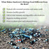 Immune SunGrow Baby Shrimp & Fish Fry Food, Essential Yellow Microbial Powder Enzyme, for Proper Nutrition, Digestion