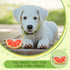 BlissBud Grapefruit Shape Dog Poop Bag Holder and Carrier - Leash Attachment Poo Bag Dispenser with Stylish Cute