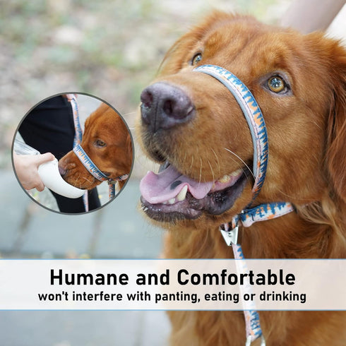 BARKLESS Dog Head Collar, Anti-Pulling Halter with Leash, Adjustable Clip for Small Medium Large Dogs, Perfect for