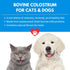 Bio-Active Bovine Colostrum Powder Supplement for Dogs, Cats, Puppies, Kittens & Pets - 240g (480 Servings)