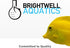 125 ml Brightwell Aquatics Shrimp BlackWaterClear Copper-Free Humic Fulvic Acid Enhances Freshwater Chemistry Boosts