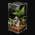 Jumping Spider Enclosure,Escape Proof Reptile Tank,Transparent Acrylic Complete Bug Habitat,Praying Mantis Terrariums,Arboreal