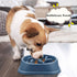 UPSKY Slow Feeder Small Dog Puzzle Bowl Feeder, Anti-Slip, Anti-Bloat, Anti-Choking - Deep Blue