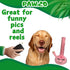 420 My Name is Harmony Bong, Funny Squeaky Weed Dog Toy, Cute Stuffed Parody Pot Bong, Cool Plush Novelty Gift