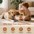 Frozen Dog Toys for Aggressive Chewers, Interactive Indestructible Dog Toys to Keep Them Busy, Durable Dog Treat Toy