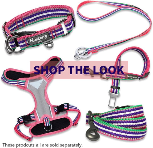 Blueberry Pet 4 Colors 3M Reflective Multi-colored Stripe Martingale Safety Training Dog Collar, Large, Pink Emerald