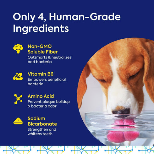 Packets Protektin42 1 Packet 30 TEEF FOR LIFE Refill Prebiotic Dental Powder for Dogs, Plant-derived, clinically-Proven