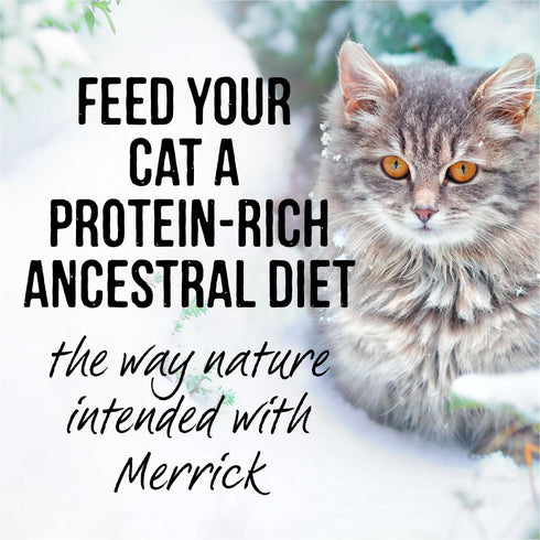 Merrick Backcountry Grain Free Premium High Protein Wet Cat Food, Beef Recipe Cuts Morsels in Gravy (Pack of 24) 3 oz