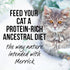 Merrick Backcountry Grain Free Premium High Protein Wet Cat Food, Beef Recipe Cuts Morsels in Gravy (Pack of 24) 3 oz