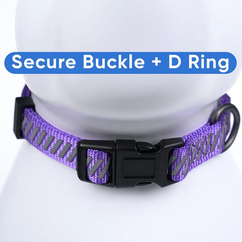 Pawtitas Reflective Dog Collar - High Visibility Adjustable Collar for Extra Small and Small Puppies, Purple XS