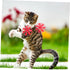 2pcs NUOBESTY Pet Fetch Toy Flying Launcher Cat Fetch Toy Spinning Shooter Flying Disc Outdoor Indoor
