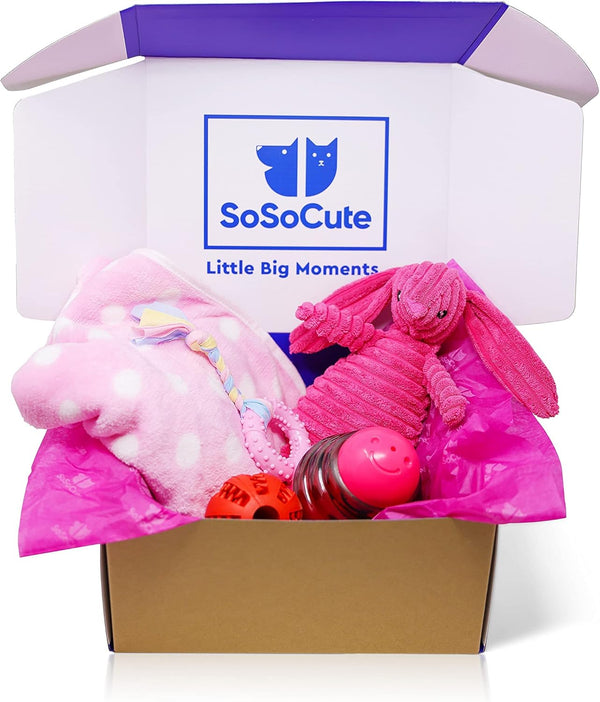 Pink Dog Gift Box - Puppy Care Package with 5 Chew Toys, Dog Blanket, Squeaky Plush, Rubber Teether, and Treat Ball