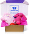 Pink Dog Gift Box - Puppy Care Package with 5 Chew Toys, Dog Blanket, Squeaky Plush, Rubber Teether, and Treat Ball