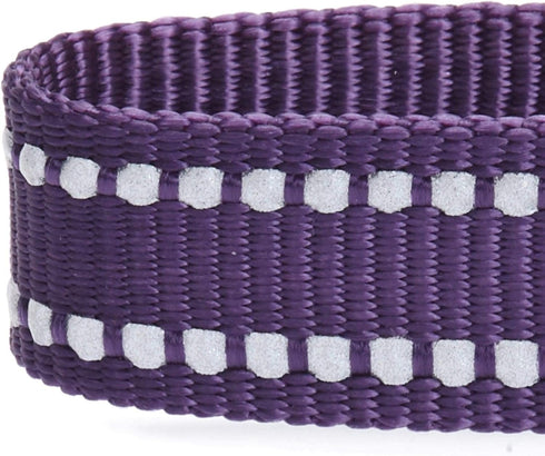 Durable 3M Reflective Classic Dog Leash 4 ft x 1", Violet, Large by Blueberry Pet Essentials