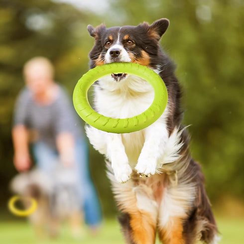 Jenaai 4 Pack Dog Training Ring - Durable Fetch Toys for Large Medium Dogs, Floating Dog Ring for Teeth Cleaning