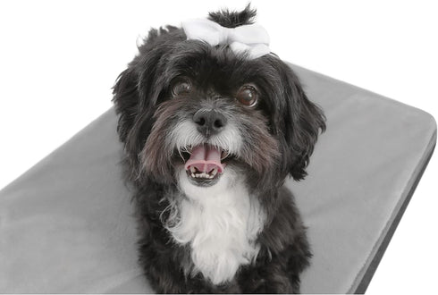 Pet Mattress for Small to Medium Dogs and Cats, 2-in-1 Cool Gel Infused with High Density Foam, Anti-Slip Bed, Ash Grey