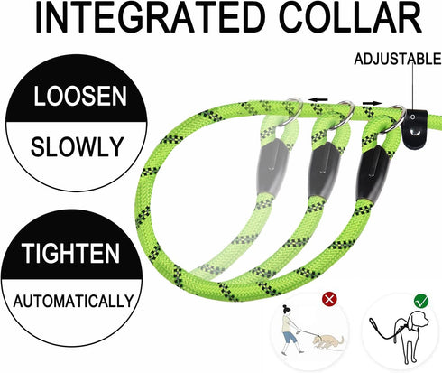 6 FT Heavy Duty Dog Leash, Durable Rope with Comfortable Padded Handle for Small Medium Large Dogs, Green