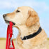 TwoEar Heavy Duty Dog Collar, Adjustable Reflective Nylon Pet Collar with Metal Buckle, Soft Neoprene Padded for Large