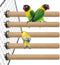 Hamiledyi Bird Perch for Cage, 5 Piece Set Natural Wood Perch for Small and Medium Birds