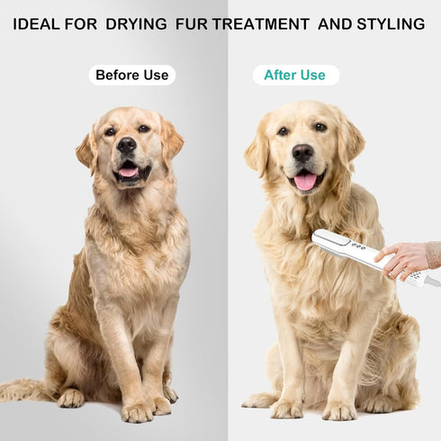 Pet Hair Dryer and Brush 2 in 1, High and Low Temperature, 3 Wind Speed Adjustment, 800W Power for Small Medium Cats